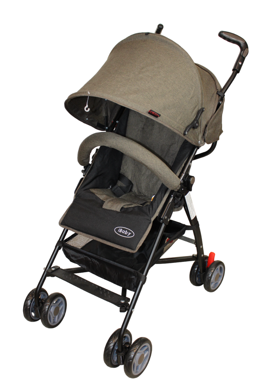 Carriola Bastón N-Born